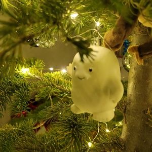 Meet your Posher, Jody